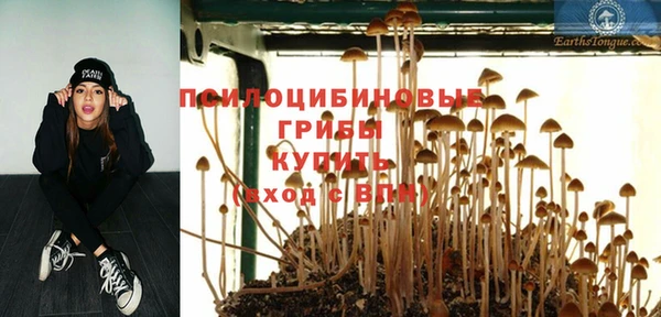 первитин Михайлов