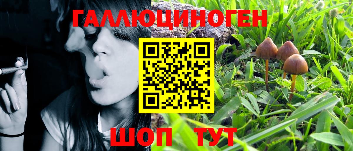 Семилуки  Псилоцибиновые грибы Magic Shrooms  Вход с VPN 